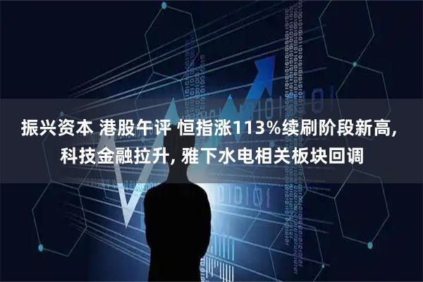 振兴资本 港股午评 恒指涨113%续刷阶段新高, 科技金融拉升, 雅下水电相关板块回调